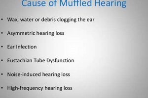 Help! Why Does My Hearing Sound Muffled? Causes & Fixes Safem Fabrication - Precision Engineering & Custom Manufacturing Solutions Help! Why Does My Hearing Sound Muffled? Causes & Fixes | Safem Fabrication - Precision Engineering & Custom Manufacturing Solutions
