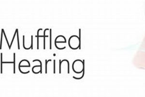 Why Muffled Hearing Occurs & What To Do About It Safem Fabrication - Precision Engineering & Custom Manufacturing Solutions Why Muffled Hearing Occurs & What To Do About It | Safem Fabrication - Precision Engineering & Custom Manufacturing Solutions