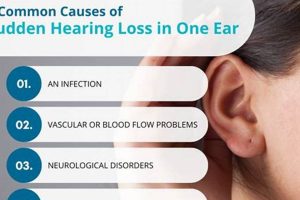 Help! Sudden Muffled Hearing & Ringing in One Ear Causes & Relief Safem Fabrication - Precision Engineering & Custom Manufacturing Solutions Help! Sudden Muffled Hearing & Ringing in One Ear Causes & Relief | Safem Fabrication - Precision Engineering & Custom Manufacturing Solutions