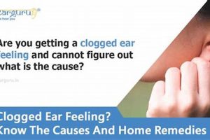 Ear Clogged? Why It Feels Muffled & What To Do Safem Fabrication - Precision Engineering & Custom Manufacturing Solutions Ear Clogged? Why It Feels Muffled & What To Do | Safem Fabrication - Precision Engineering & Custom Manufacturing Solutions