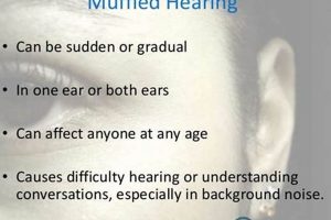Help! Why Is My Ear Muffled? Causes & Fixes Safem Fabrication - Precision Engineering & Custom Manufacturing Solutions Help! Why Is My Ear Muffled? Causes & Fixes | Safem Fabrication - Precision Engineering & Custom Manufacturing Solutions