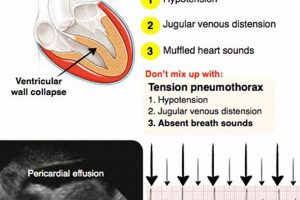 Understanding Muffled Heart Sounds: Causes & Risks Safem Fabrication - Precision Engineering & Custom Manufacturing Solutions Understanding Muffled Heart Sounds: Causes & Risks | Safem Fabrication - Precision Engineering & Custom Manufacturing Solutions
