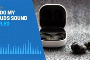 Fix: Why Do My Earbuds Sound Muffled? & Clear Audio Tips Safem Fabrication - Precision Engineering & Custom Manufacturing Solutions Fix: Why Do My Earbuds Sound Muffled? & Clear Audio Tips | Safem Fabrication - Precision Engineering & Custom Manufacturing Solutions