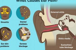 Help! Muffled Ear, No Pain: Causes & Relief Safem Fabrication - Precision Engineering & Custom Manufacturing Solutions Help! Muffled Ear, No Pain: Causes & Relief | Safem Fabrication - Precision Engineering & Custom Manufacturing Solutions