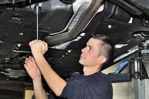 Yakima's Muffler Bandit: WA Converter Theft & Prevention Best Mufflers for Cars & Trucks | Performance, Sound & Durability Upgrades Yakima's Muffler Bandit: WA Converter Theft & Prevention | Best Mufflers for Cars & Trucks | Performance, Sound & Durability Upgrades