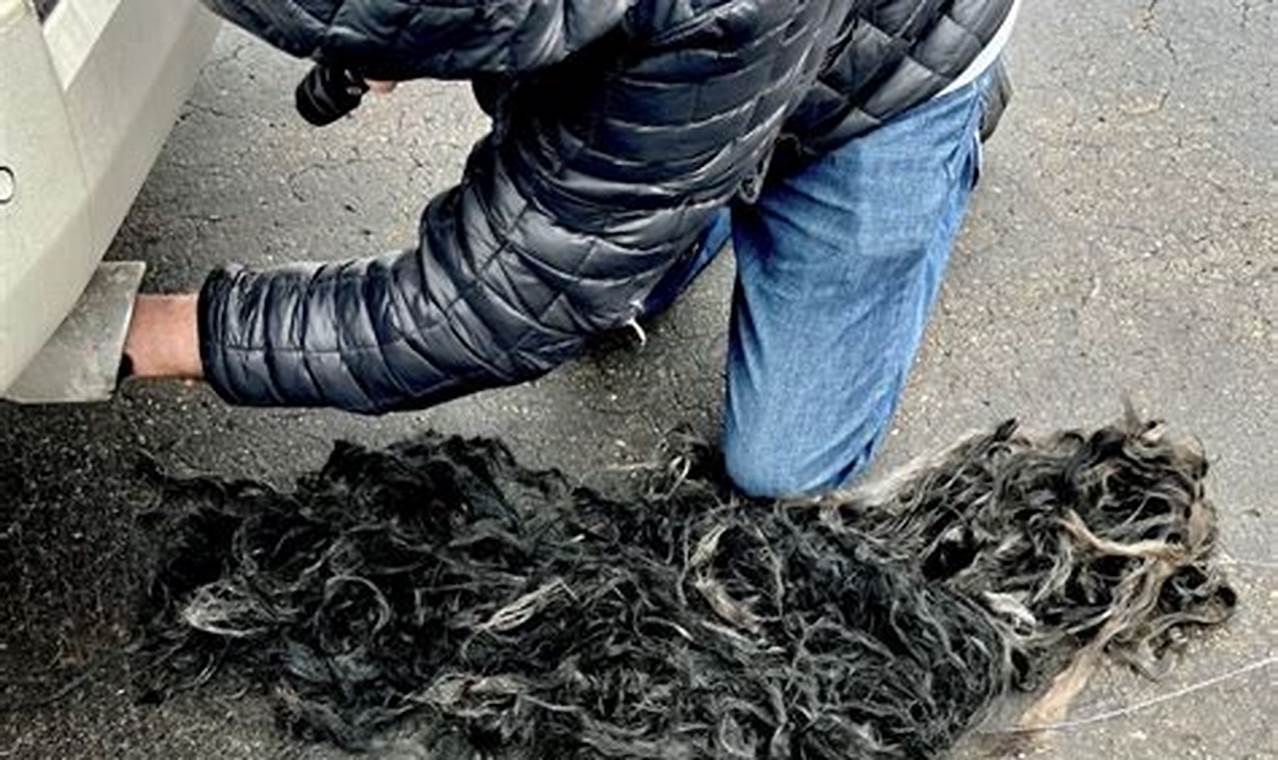Is Hair in Your Muffler? Causes & Fixes Safem Fabrication - Precision Engineering & Custom Manufacturing Solutions Is Hair in Your Muffler? Causes & Fixes | Safem Fabrication - Precision Engineering & Custom Manufacturing Solutions