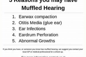 Why Muffled Hearing? Causes, Risks & Solutions Safem Fabrication - Precision Engineering & Custom Manufacturing Solutions Why Muffled Hearing? Causes, Risks & Solutions | Safem Fabrication - Precision Engineering & Custom Manufacturing Solutions