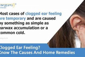 Why You Woke Up With Ear Muffled: Causes & Relief Safem Fabrication - Precision Engineering & Custom Manufacturing Solutions Why You Woke Up With Ear Muffled: Causes & Relief | Safem Fabrication - Precision Engineering & Custom Manufacturing Solutions