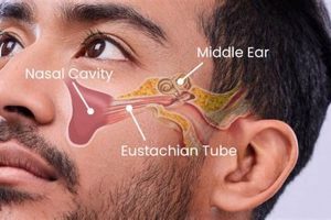 Sinus Infection & Muffled Hearing? Tips & Relief Safem Fabrication - Precision Engineering & Custom Manufacturing Solutions Sinus Infection & Muffled Hearing? Tips & Relief | Safem Fabrication - Precision Engineering & Custom Manufacturing Solutions