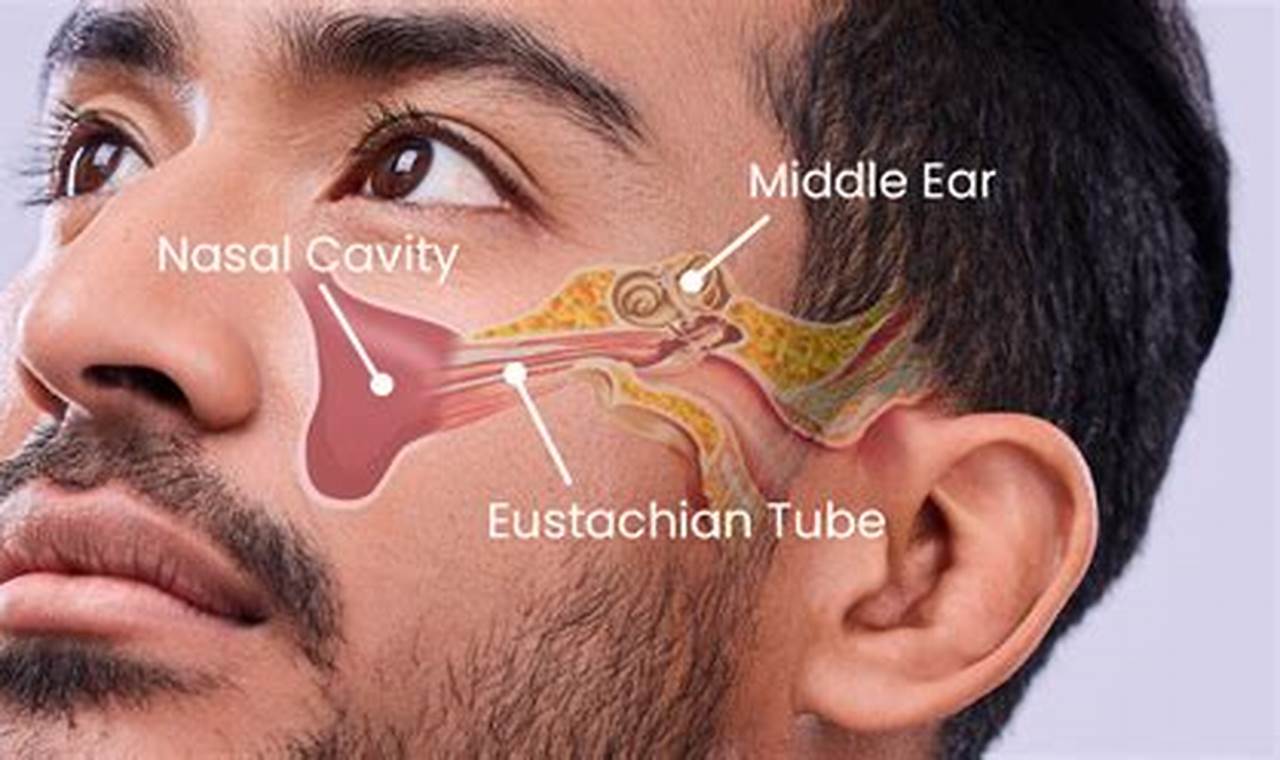 Sinus Infection &amp; Muffled Hearing? Tips &amp; Relief | Safem Fabrication - Precision Engineering & Custom Manufacturing Solutions