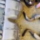 What is a Muffler Brake System? Benefits & Safety Tips | Best Mufflers for Cars & Trucks | Performance, Sound & Durability Upgrades