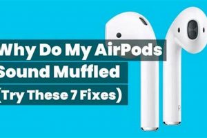 Fix: Why Are My AirPods Muffled? [Quick Solutions] | Best Mufflers for Cars & Trucks | Performance, Sound & Durability Upgrades