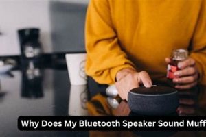 Fix: Why Does My Chromebook Bluetooth Sound Muffled? Best Mufflers for Cars & Trucks | Performance, Sound & Durability Upgrades Fix: Why Does My Chromebook Bluetooth Sound Muffled? | Best Mufflers for Cars & Trucks | Performance, Sound & Durability Upgrades