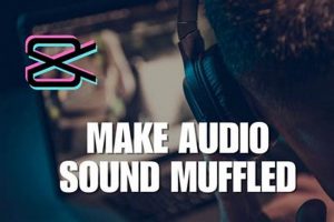 Fix: Why Phone Audio Sounds Muffled + Clear Sound Tips Best Mufflers for Cars & Trucks | Performance, Sound & Durability Upgrades Fix: Why Phone Audio Sounds Muffled + Clear Sound Tips | Best Mufflers for Cars & Trucks | Performance, Sound & Durability Upgrades