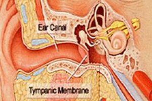 Why My Left Ear Is Muffled? Causes & Solutions Best Mufflers for Cars & Trucks | Performance, Sound & Durability Upgrades Why My Left Ear Is Muffled? Causes & Solutions | Best Mufflers for Cars & Trucks | Performance, Sound & Durability Upgrades