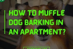 Stop Barking! How to Muffle Dog Barking in Apartment Tips Best Mufflers for Cars & Trucks | Performance, Sound & Durability Upgrades Stop Barking! How to Muffle Dog Barking in Apartment Tips | Best Mufflers for Cars & Trucks | Performance, Sound & Durability Upgrades