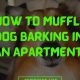 Stop Barking! How to Muffle Dog Barking in Apartment Tips | Best Mufflers for Cars & Trucks | Performance, Sound & Durability Upgrades