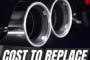 Muffler Replacement: What's the Real Cost? Guide Best Mufflers for Cars & Trucks | Performance, Sound & Durability Upgrades Muffler Replacement: What's the Real Cost? Guide | Best Mufflers for Cars & Trucks | Performance, Sound & Durability Upgrades