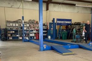 Local Gator Muffler & Car Care: Repair & Service Best Mufflers for Cars & Trucks | Performance, Sound & Durability Upgrades Local Gator Muffler & Car Care: Repair & Service | Best Mufflers for Cars & Trucks | Performance, Sound & Durability Upgrades