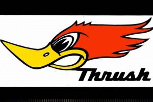 Buy Thrush Muffler Stickers: Show Off Your Ride! Best Mufflers for Cars & Trucks | Performance, Sound & Durability Upgrades Buy Thrush Muffler Stickers: Show Off Your Ride! | Best Mufflers for Cars & Trucks | Performance, Sound & Durability Upgrades