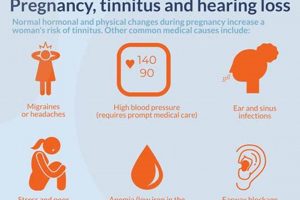 Is Muffled Hearing During Pregnancy Normal? Facts + Tips Best Mufflers for Cars & Trucks | Performance, Sound & Durability Upgrades Is Muffled Hearing During Pregnancy Normal? Facts + Tips | Best Mufflers for Cars & Trucks | Performance, Sound & Durability Upgrades