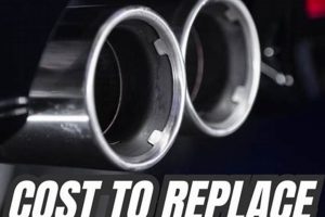 Muffler Replacement: Find Your Average Cost + Tips Best Mufflers for Cars & Trucks | Performance, Sound & Durability Upgrades Muffler Replacement: Find Your Average Cost + Tips | Best Mufflers for Cars & Trucks | Performance, Sound & Durability Upgrades