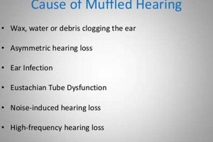 Why a Muffled Sound in Right Ear? Find Solutions! Best Mufflers for Cars & Trucks | Performance, Sound & Durability Upgrades Why a Muffled Sound in Right Ear? Find Solutions! | Best Mufflers for Cars & Trucks | Performance, Sound & Durability Upgrades