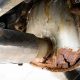 Is Your Muffler Rusted? Causes & Repair Tips | Best Mufflers for Cars & Trucks | Performance, Sound & Durability Upgrades