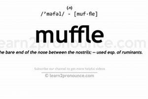 What Does Muffle Definition Mean? Tips & Uses Best Mufflers for Cars & Trucks | Performance, Sound & Durability Upgrades What Does Muffle Definition Mean? Tips & Uses | Best Mufflers for Cars & Trucks | Performance, Sound & Durability Upgrades