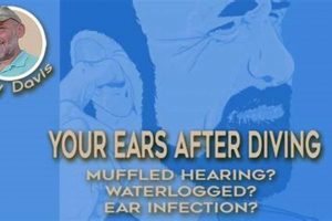 Help! Muffled Hearing After Swimming: Causes & Relief Best Mufflers for Cars & Trucks | Performance, Sound & Durability Upgrades Help! Muffled Hearing After Swimming: Causes & Relief | Best Mufflers for Cars & Trucks | Performance, Sound & Durability Upgrades