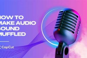 [EASY] How to Make Audio Sound Muffled? (+Tips) | Best Mufflers for Cars & Trucks | Performance, Sound & Durability Upgrades