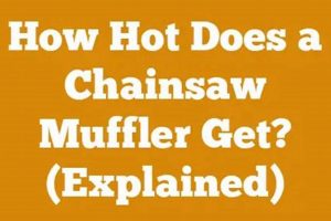 Muffler Cost Guide: How Much Does a Muffler Replacement Cost? Best Mufflers for Cars & Trucks | Performance, Sound & Durability Upgrades Muffler Cost Guide: How Much Does a Muffler Replacement Cost? | Best Mufflers for Cars & Trucks | Performance, Sound & Durability Upgrades