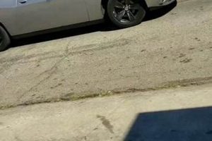 Muffler King & Transmissions: Repair, Service & More! Best Mufflers for Cars & Trucks | Performance, Sound & Durability Upgrades Muffler King & Transmissions: Repair, Service & More! | Best Mufflers for Cars & Trucks | Performance, Sound & Durability Upgrades