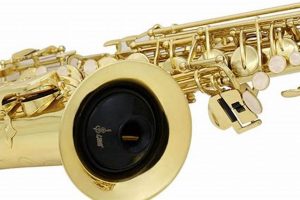 Quiet Practice: Best Muffler for Saxophone + Reviews Best Mufflers for Cars & Trucks | Performance, Sound & Durability Upgrades Quiet Practice: Best Muffler for Saxophone + Reviews | Best Mufflers for Cars & Trucks | Performance, Sound & Durability Upgrades