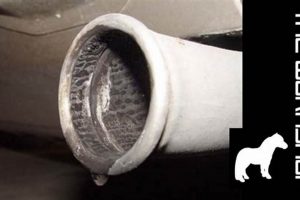 Is That Water? Dripping From Muffler Under Car - Explained Best Mufflers for Cars & Trucks | Performance, Sound & Durability Upgrades Is That Water? Dripping From Muffler Under Car - Explained | Best Mufflers for Cars & Trucks | Performance, Sound & Durability Upgrades