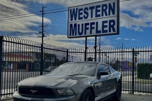 Your Best Western Muffler Shop: Experts & Savings! Best Mufflers for Cars & Trucks | Performance, Sound & Durability Upgrades Your Best Western Muffler Shop: Experts & Savings! | Best Mufflers for Cars & Trucks | Performance, Sound & Durability Upgrades