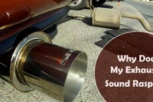 Why is My Muffler Making Noise? Causes & Fixes Best Mufflers for Cars & Trucks | Performance, Sound & Durability Upgrades Why is My Muffler Making Noise? Causes & Fixes | Best Mufflers for Cars & Trucks | Performance, Sound & Durability Upgrades