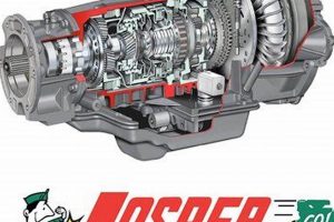 Big T Tire & Muffler: Quality Tires & Exhaust Best Mufflers for Cars & Trucks | Performance, Sound & Durability Upgrades Big T Tire & Muffler: Quality Tires & Exhaust | Best Mufflers for Cars & Trucks | Performance, Sound & Durability Upgrades
