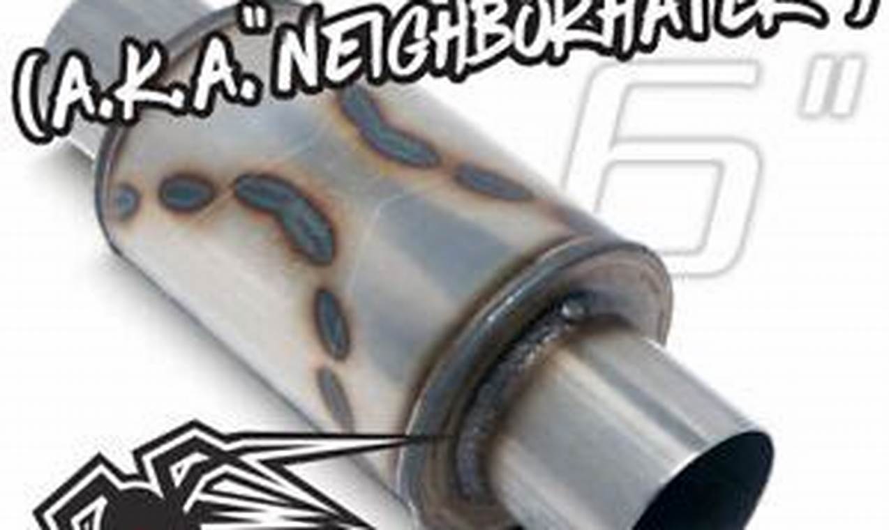 Quiet Ride: Black Widow Neighbor Hater Muffler Solution! Best Mufflers for Cars & Trucks | Performance, Sound & Durability Upgrades Quiet Ride: Black Widow Neighbor Hater Muffler Solution! | Best Mufflers for Cars & Trucks | Performance, Sound & Durability Upgrades