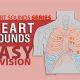 Deciphering Muffled Heart Sounds Audio: Causes & Analysis | Best Mufflers for Cars & Trucks | Performance, Sound & Durability Upgrades
