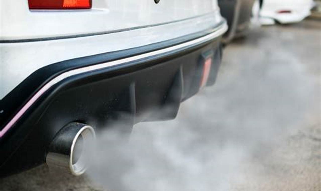 Buy Smoke Muffler Online | Best Exhaust Smoke Muffler Best Mufflers for Cars & Trucks | Performance, Sound & Durability Upgrades Buy Smoke Muffler Online | Best Exhaust Smoke Muffler | Best Mufflers for Cars & Trucks | Performance, Sound & Durability Upgrades