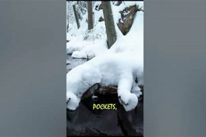 Why Does Snow Muffle Sound? Winter Acoustics Best Mufflers for Cars & Trucks | Performance, Sound & Durability Upgrades Why Does Snow Muffle Sound? Winter Acoustics | Best Mufflers for Cars & Trucks | Performance, Sound & Durability Upgrades