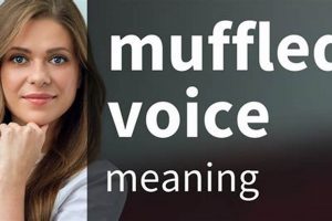 Decode a Muffled Voice: Causes & Solutions Best Mufflers for Cars & Trucks | Performance, Sound & Durability Upgrades Decode a Muffled Voice: Causes & Solutions | Best Mufflers for Cars & Trucks | Performance, Sound & Durability Upgrades
