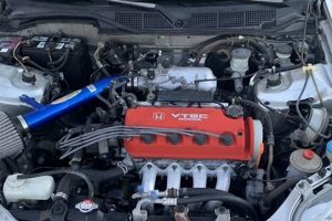 Reliable Anthony's Muffler Shop: Exhaust Experts! Best Mufflers for Cars & Trucks | Performance, Sound & Durability Upgrades Reliable Anthony's Muffler Shop: Exhaust Experts! | Best Mufflers for Cars & Trucks | Performance, Sound & Durability Upgrades