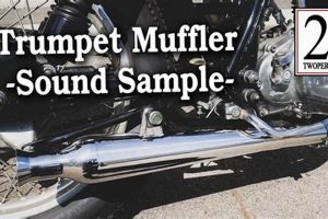 Best Trumpet Muffler Name: Find Your Sound Suppressor Best Mufflers for Cars & Trucks | Performance, Sound & Durability Upgrades Best Trumpet Muffler Name: Find Your Sound Suppressor | Best Mufflers for Cars & Trucks | Performance, Sound & Durability Upgrades