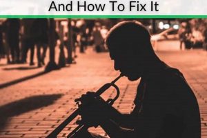 Trumpet Tone Troubles: Why Does My Trumpet Sound Muffled? (Fixes) Best Mufflers for Cars & Trucks | Performance, Sound & Durability Upgrades Trumpet Tone Troubles: Why Does My Trumpet Sound Muffled? (Fixes) | Best Mufflers for Cars & Trucks | Performance, Sound & Durability Upgrades
