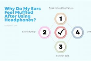 Ear Feels Muffled: Why? Causes & Relief Best Mufflers for Cars & Trucks | Performance, Sound & Durability Upgrades Ear Feels Muffled: Why? Causes & Relief | Best Mufflers for Cars & Trucks | Performance, Sound & Durability Upgrades