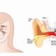 Sinus Infection and Muffled Hearing: Ear Relief Tips | Best Mufflers for Cars & Trucks | Performance, Sound & Durability Upgrades