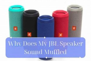 Fix: Why Does My TV Sound Muffled? [Solutions] | Best Mufflers for Cars & Trucks | Performance, Sound & Durability Upgrades