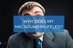 Fix: Why Does My Voice Message Sound Muffled? [Solved] | Best Mufflers for Cars & Trucks | Performance, Sound & Durability Upgrades